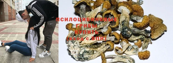 дживик Армянск