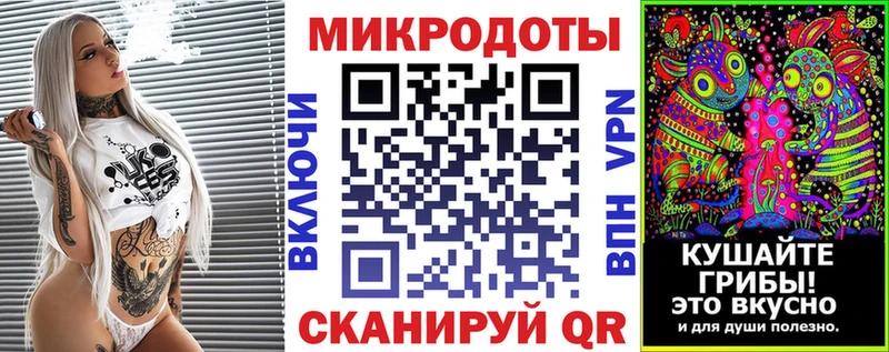 даркнет сайт Рудня Псилоцибиновые грибы Psilocybine cubensis